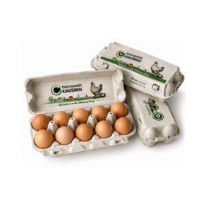 A.Banionio - Chicken Eggs 10 pcs Size L