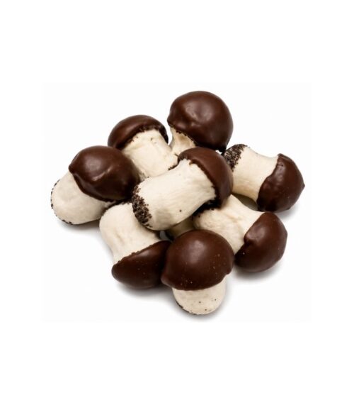 Dagema - Biscuits Mushrooms 400g